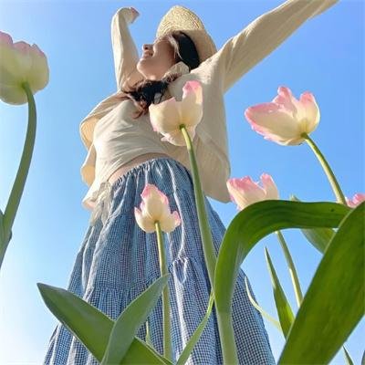 摩斯探长第五季封面