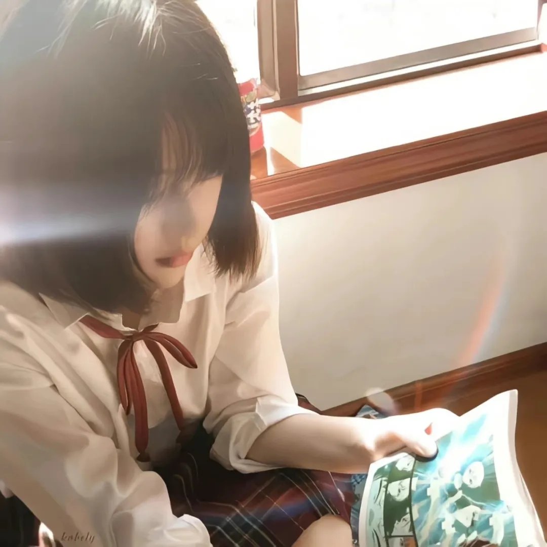 哈兰·科本的庇护所封面